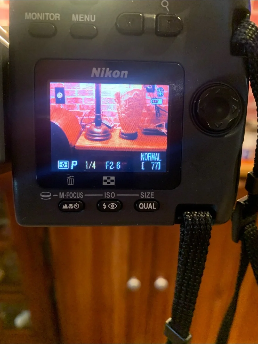 Nikon this camera